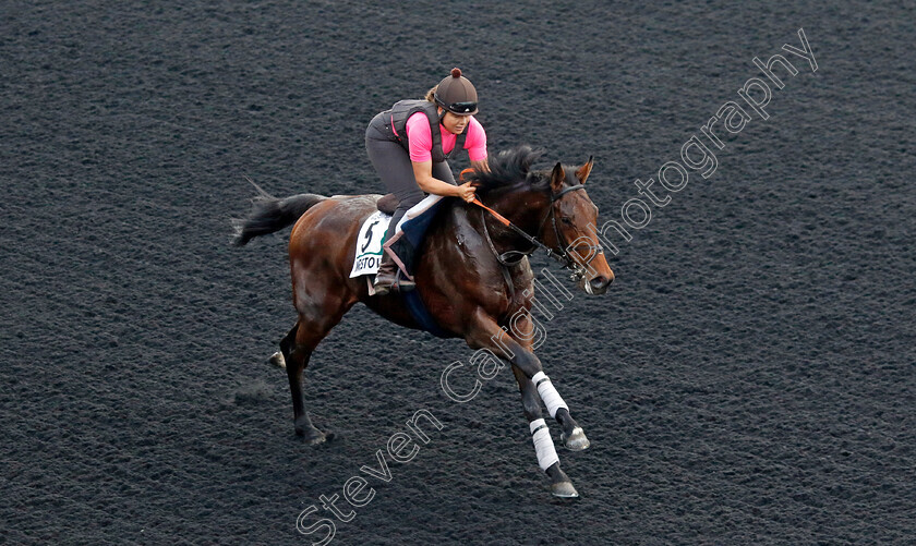 Westover-0003 
 WESTOVER training for the Sheema Classic
Meydan, Dubai, 21 Mar 2023 - Pic Steven Cargill / Racingfotos.com