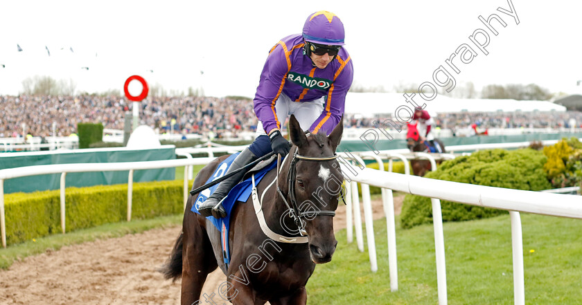 Easy-Game-0001 
 EASY GAME (Paul Townend)
Aintree 12 Apr 2024 - Pic Steven Cargill / Racingfotos.com