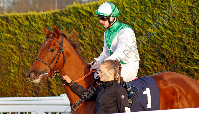 Invitational-0003 
 INVITATIONAL (Jack Mitchell) before winning The Ladbrokes Where The Nation Plays Fillies Stakes
Wolverhampton 3 Jan 2020 - Pic Steven Cargill / Racingfotos.com