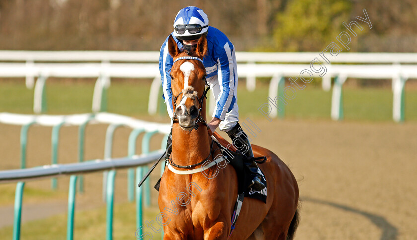 Johnny-Drama-0002 
 JOHNNY DRAMA (Ryan Moore)
Lingfield 27 Feb 2021 - Pic Steven Cargill / Racingfotos.com