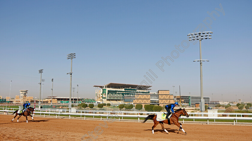 Dubai-Future-and-White-Moonlight-0002 
 DUBAI FUTURE (right) leads WHITE MOONLIGHT (left) training for The Neom Turf Cup
King Abdulaziz Racecourse, Kingdom Of Saudi Arabia, 23 Feb 2023 - Pic Steven Cargill / Racingfotos.com