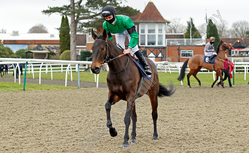 Fizzy-Feet-0001 
 FIZZY FEET (Rossa Ryan)
Lingfield 6 Feb 2021 - Pic Steven Cargill / Racingfotos.com