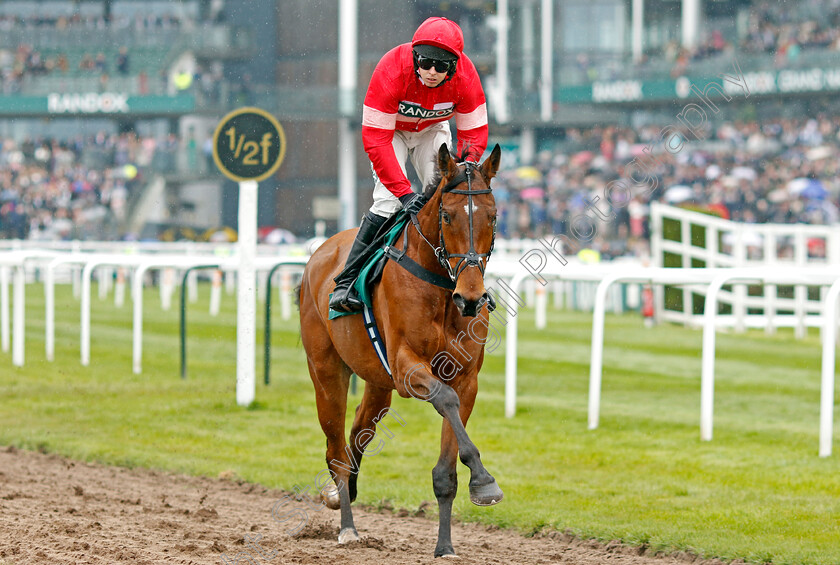 Sholokjack-0001 
 SHOLOKJACK (Kielan Woods)
Aintree 14 Apr 2023 - Pic Steven Cargill / Racingfotos.com