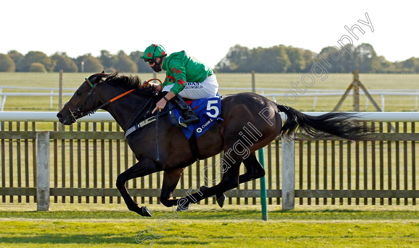 Ocean-Wind-0007 
 OCEAN WIND (Jack Mitchell) wins The Close Brothers Cesarewitch Trial Handicap
Newmarket 19 Sep 2020 - Pic Steven Cargill / Racingfotos.com