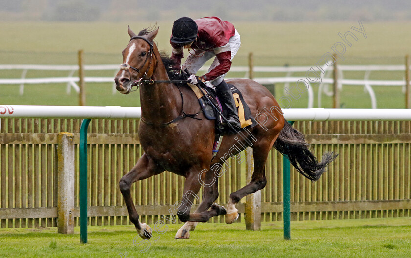 Wonder-Kid-0002 
 WONDER KID (Harry Davies) wins The Graham Budd Horseracing Memorabilia Handicap
Newmarket 26 Sep 2024 - Pic Steven Cargill / Racingfotos.com