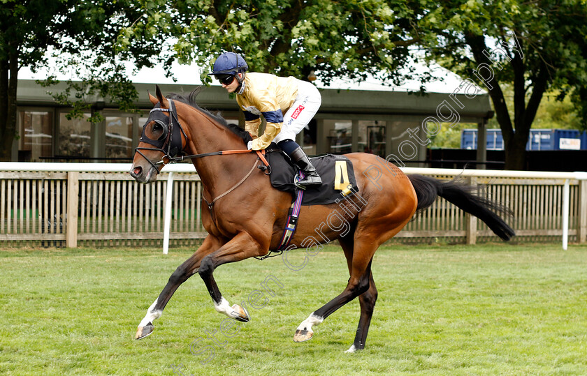 Outbox-0001 
 OUTBOX (Hollie Doyle)
Newmarket 1 Jul 2023 - Pic Steven Cargill / Racingfotos.com