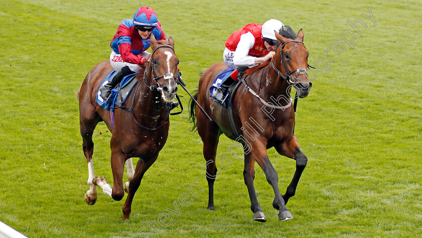 Al-Jellaby-0002 
 AL JELLABY (right, Adam Kirby) beats WHITE MOCHA (left) in The Frank Murray Memorial EBF Novice Stakes Salisbury 7 Sep 2017 - Pic Steven Cargill / Racingfotos.com