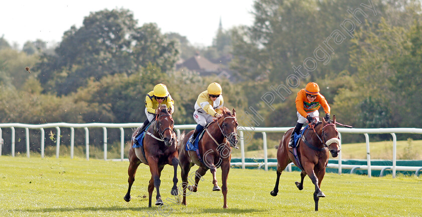 Wise-Words-0001 
 WISE WORDS (left, P J McDonald) beats CORINTHIA KNIGHT (centre) and FREE LOVE (right) in The EBF Stallions Prestwold Conditions Stakes
Leicester 10 Sep 2019 - Pic Steven Cargill / Racingfotos.com