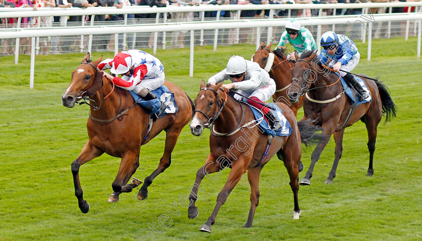 What s-The-Story-0002 
 WHAT'S THE STORY (left, Joe Fanning) beats VALE OF KENT (right) in The Clipper Logistics Handicap
York 22 Aug 2019 - Pic Steven Cargill / Racingfotos.com