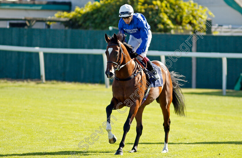 Midnight-Thunder-0008 
 MIDNIGHT THUNDER (Oisin Murphy) winner of The British Stallion Studs EBF Novice Stakes
Yarmouth 17 Sep 2024 - Pic Steven Cargill / Racingfotos.com