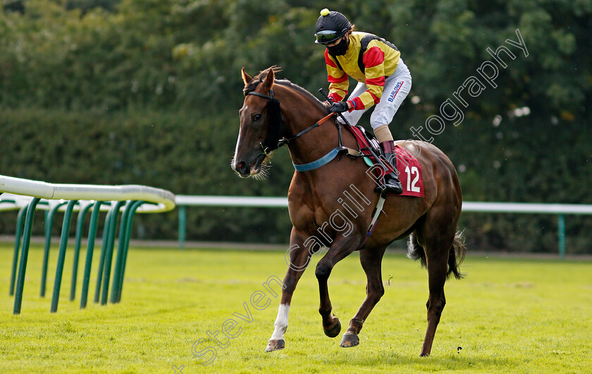 Celerity-0001 
 CELERITY (Elisha Whittington)
Haydock 4 Sep 2020 - Pic Steven Cargill / Racingfotos.com