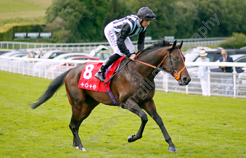 Chindit-0001 
 CHINDIT (Pat Dobbs)
Goodwood 28 Aug 2021 - Pic Steven Cargill / Racingfotos.com