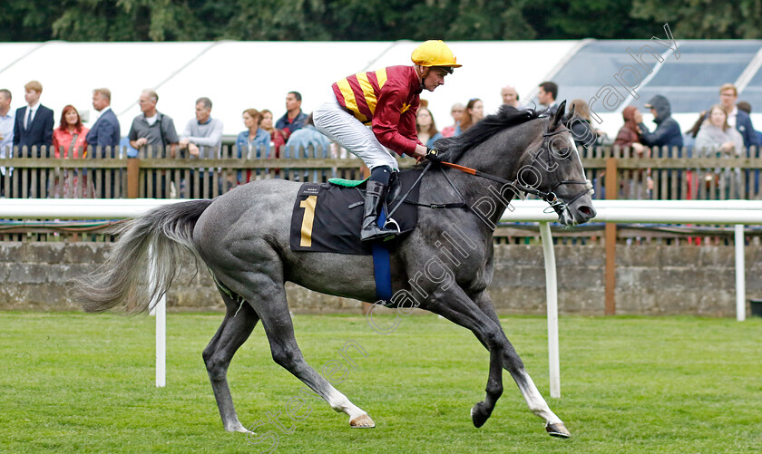 Havana-Blue-0005 
 HAVANA BLUE (John Fahy) wins The Indie Angel Bred At Ringfort Stud Handicap
Newmarket 30 Jun 2023 - Pic Steven Cargill / Racingfotos.com