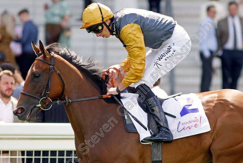 Aviation-Time-0002 
 AVIATION TIME (James Doyle)
Ascot 27 Jul 2024 - Pic Steven Cargill / Racingfotos.com