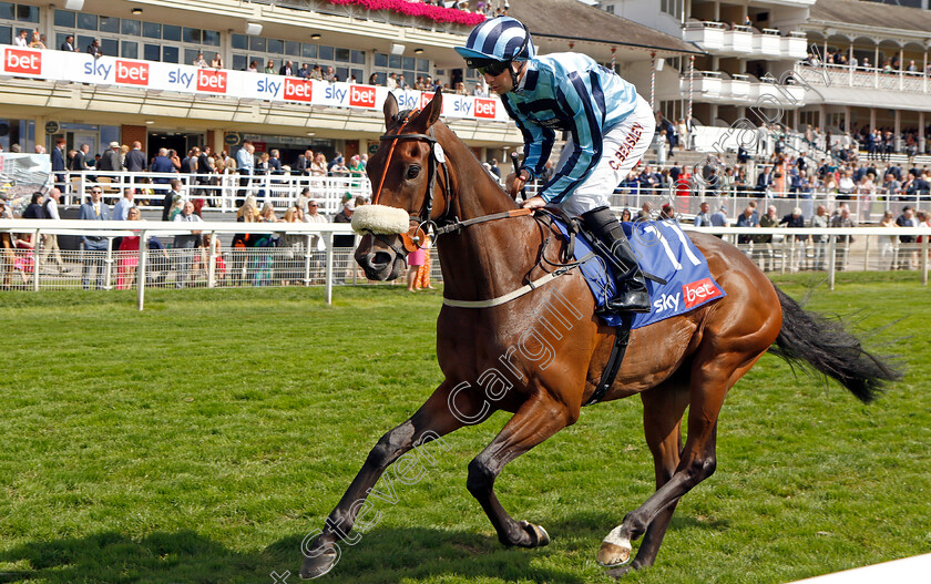 Chillhi-0002 
 CHILLHI (Connor Beasley)
York 26 Aug 2023 - Pic Steven Cargill / Racingfotos.com