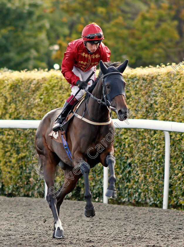 Qatar-Queen-0001 
 QATAR QUEEN (Oisin Murphy)
Kempton 7 Aug 2019 - Pic Steven Cargill / Racingfotos.com