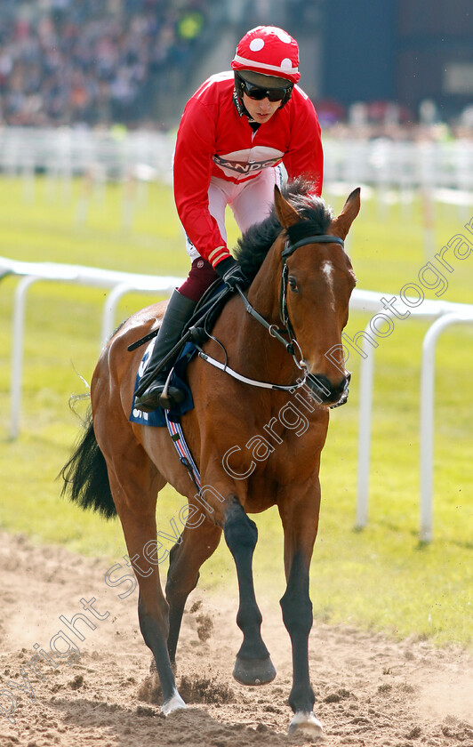 Home-By-The-Lee-0001 
 HOME BY THE LEE (J J Slevin)
Aintree 15 Apr 2023 - Pic Steven Cargill / Racingfotos.com