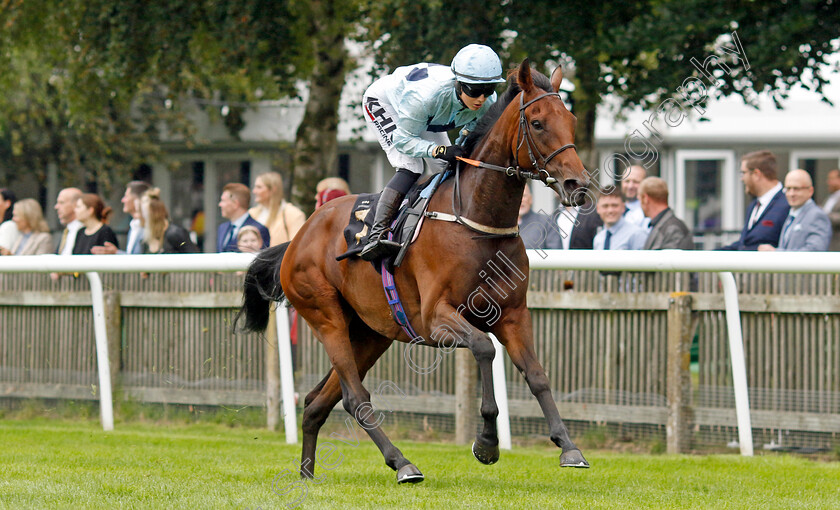 Reina-Del-Mar-0004 
 REINA DEL MAR (Saffie Osborne) wins The Turners Handicap
Newmarket 5 Aug 2023 - Pic Steven Cargill / Racingfotos.com