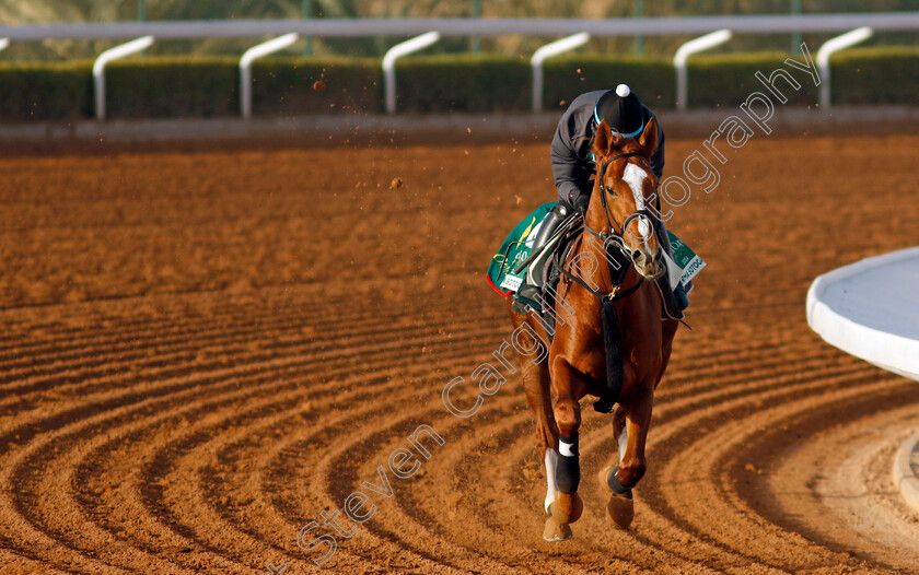 Derma-Sotogake-0004 
 DERMA SOTOGAKE training for The Saudi Cup
King Abdulaziz Racecourse, Saudi Arabia 20 Feb 2024 - Pic Steven Cargill / Racingfotos.com