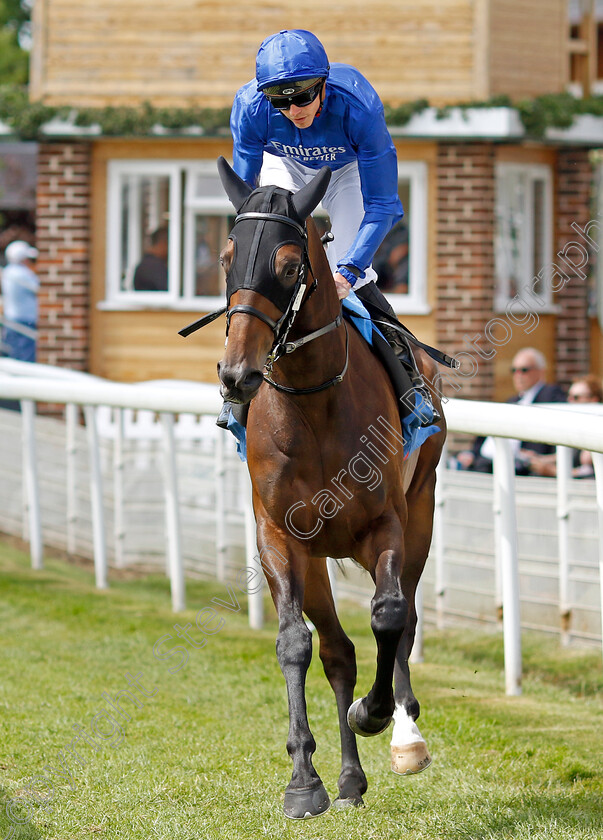 Valiant-Prince-0001 
 VALIANT PRINCE (James Doyle) winner of The Seat Unique Ganton Stakes
York 10 Jun 2022 - Pic Steven Cargill / Racingfotos.com