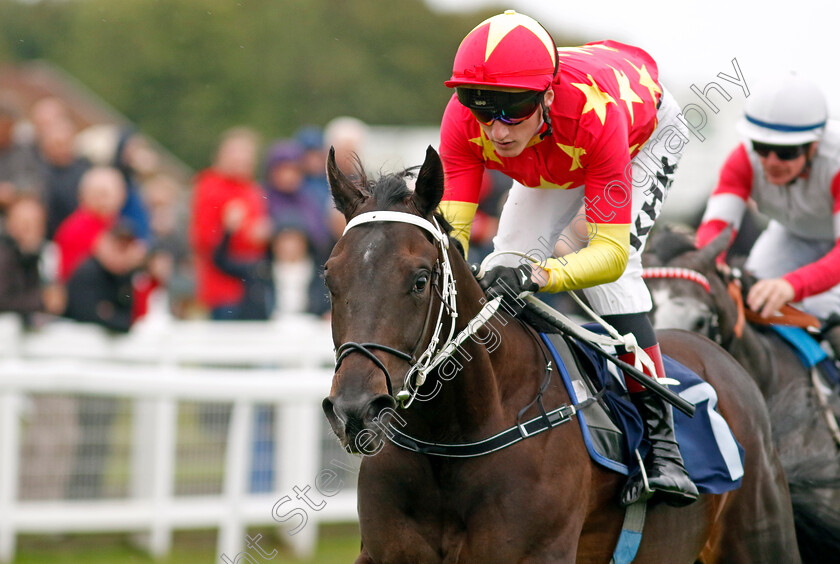 Son-Of-Man-0001 
 SON OF MAN (David Egan) wins The British Stallion Studs EBF Novice Stakes Div1
Yarmouth 19 Sep 2023 - Pic Steven Cargill / Racingfotos.com