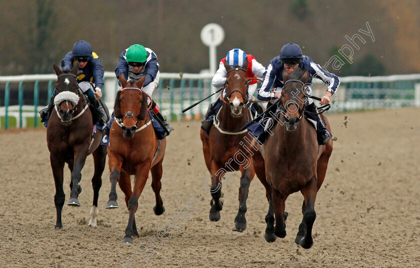 Kyllachy-Gala-0002 
 KYLLACHY GALA (right, Luke Morris) beats MATEWAN (2nd left) and PURDEY'S GIFT (left) in The Betway Handicap
Lingfield 2 Jan 2020 - Pic Steven Cargill / Racingfotos.com