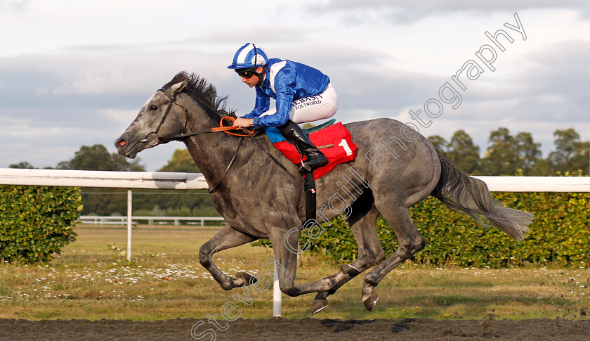 Mubakker-0005 
 MUBAKKER (Dane O'Neill) wins The Matchbook Betting Exchange Novice Stakes
Kempton 3 Sep 2019 - Pic Steven Cargill / Racingfotos.com