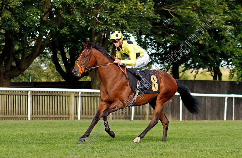 Razzle-Dazzle-0001 
 RAZZLE DAZZLE (James Doyle)
Newmarket 6 Aug 2021 - Pic Steven Cargill / Racingfotos.com