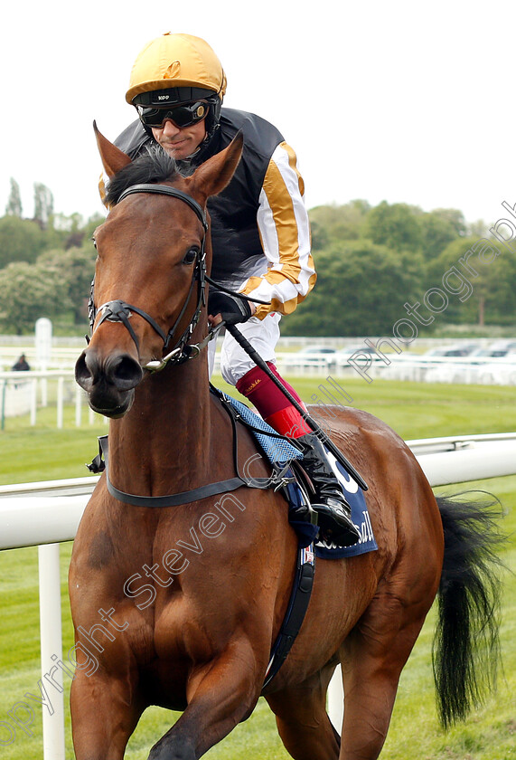 Highgarden-0001 
 HIGHGARDEN (Frankie Dettori)
York 16 May 2018 - Pic Steven Cargill / Racingfotos.com