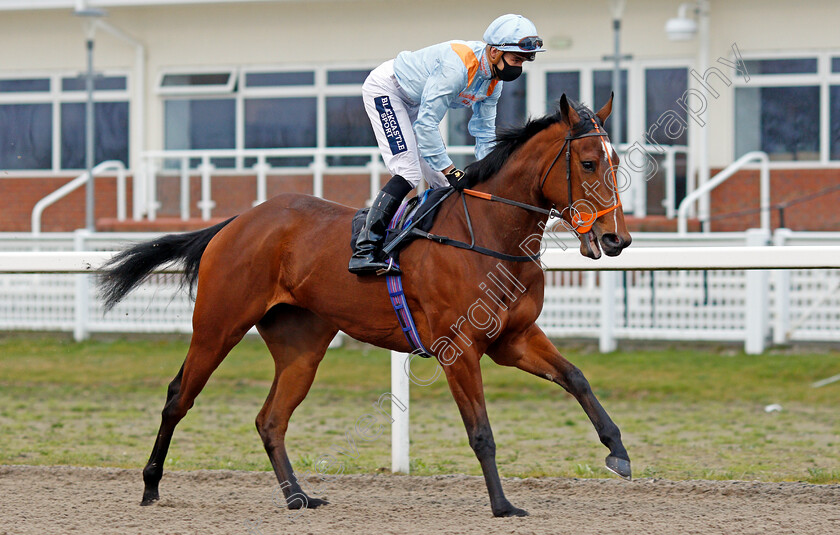 Lexington-Liberty-0001 
 LEXINGTON LIBERTY (Thore Hammer Hansen)
Chelmsford 4 Mar 2021 - Pic Steven Cargill / Racingfotos.com