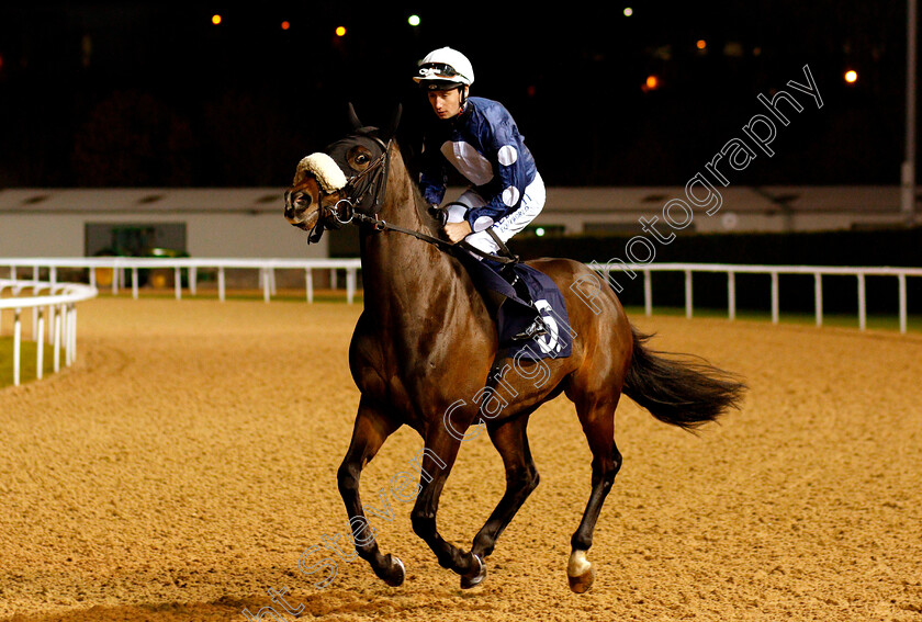 Juanito-Chico-0001 
 JUANITO CHICO (Oisin Murphy)
Wolverhampton 26 Feb 2019 - Pic Steven Cargill / Racingfotos.com