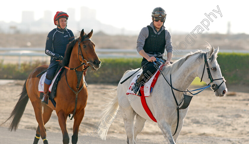 Lord-Glitters-and-Fev-Rover-0002 
 LORD GLITTERS (Jason Watson) leads FEV ROVER (Paddy Mathers) exercising in preparation for Friday's Bahrain International Trophy
Sakhir Racecourse, Bahrain 17 Nov 2021 - Pic Steven Cargill / Racingfotos.com