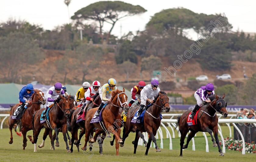 Mendelssohn-0014 
 MENDELSSOHN (right, Ryan Moore) wins The Breeders' Cup Juvenile Turf, Del Mar USA 3 Nov 2017 - Pic Steven Cargill / Racingfotos.com