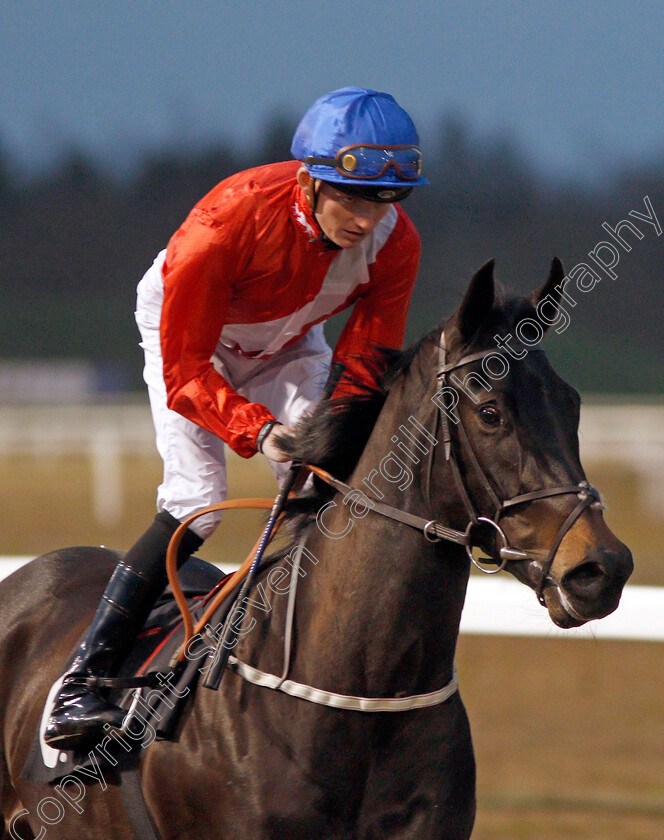 Endowment-0002 
 ENDOWMENT (Rob Hornby) winner of The Bet toteplacepot At totesport.com Novice Stakes
Chelmsford 11 Jan 2020 - Pic Steven Cargill / Racingfotos.com