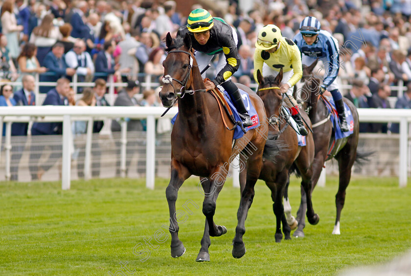 Mandoob-0001 
 MANDOOB (Sean Levey)
York 11 Jun 2022 - Pic Steven Cargill / Racingfotos.com