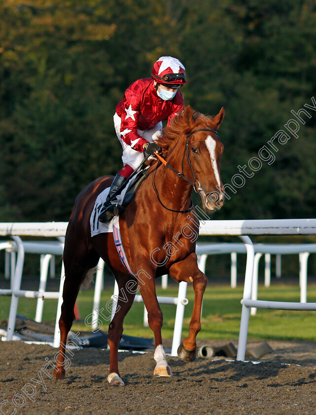 Swiss-Mistress 
 SWISS MISTRESS (Oisin Murphy)
Kempton 6 Oct 2021 - Pic Steven Cargill / Racingfotos.com