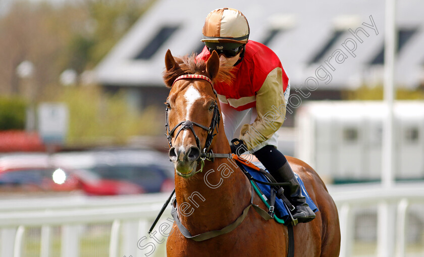 Twilight-Madness-0001 
 TWILIGHT MADNESS (Hollie Doyle)
Epsom 25 Apr 2023 - Pic Steven Cargill / Racingfotos.com