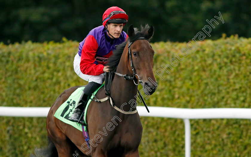 Angel-Express-0001 
 ANGEL EXPRESS (Richard Kingscote)
Kempton 7 Aug 2024 - Pic Steven Cargill / Racingfotos.com