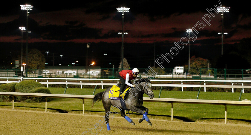 Roaring-Lion-0007 
 ROARING LION exercising ahead of The Breeders' Cup Classic
Churchill Downs USA 31 Oct 2018 - Pic Steven Cargill / Racingfotos.com