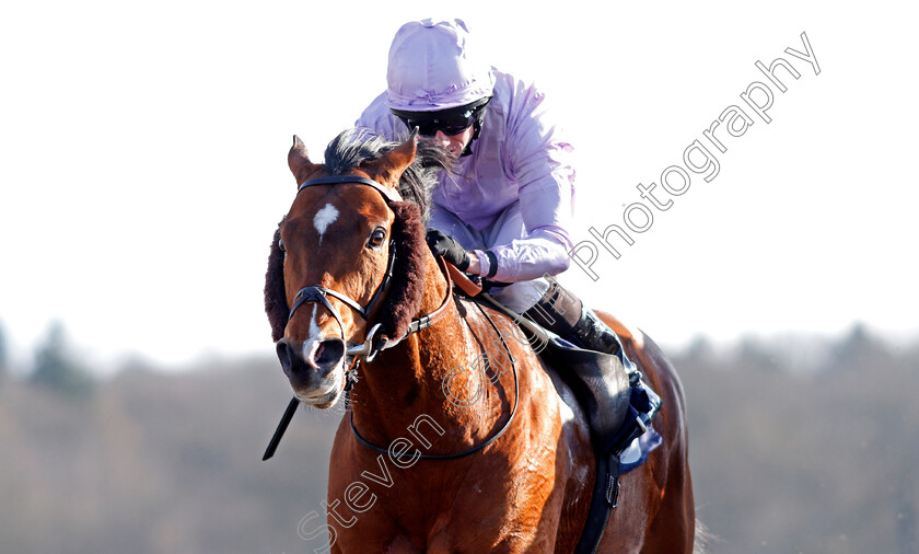 Abe-Lincoln-0005 
 ABE LINCOLN (Ryan Moore) wins The Betway Handicap Lingfield 27 Feb 2018 - Pic Steven Cargill / Racingfotos.com