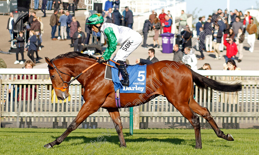 Haatem-0001 
 HAATEM (Sean Levey)
Newmarket 14 Oct 2023 - Pic Steven Cargill / Racingfotos.com