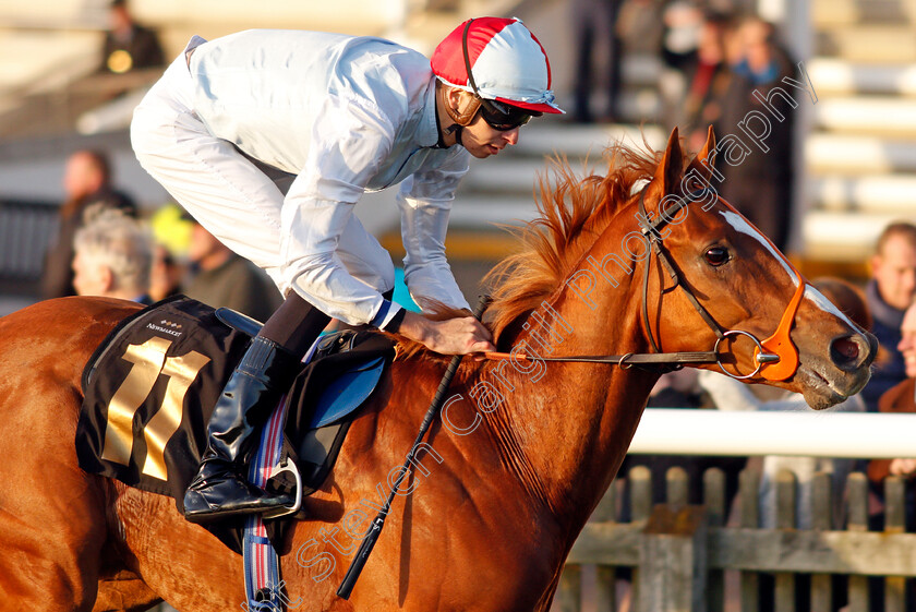 Lawful-Command-0006 
 LAWFUL COMMAND (Louis Steward) wins The Jean Bucknell A Lifetime In Racing Nursery
Newmarket 20 Oct 2021 - Pic Steven Cargill / Racingfotos.com