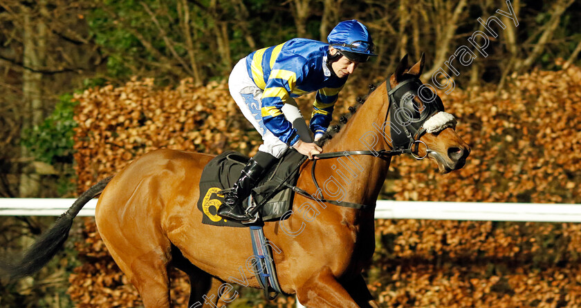 Blind-Beggar-0001 
 BLIND BEGGAR (Luke Morris)
Kempton 14 Feb 2024 - Pic Steven Cargill / Racingfotos.com