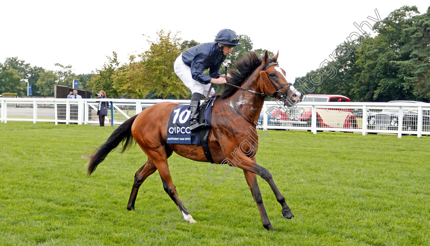 Anthony-Van-Dyck-0002 
 ANTHONY VAN DYCK (Ryan Moore)
Ascot 27 Jul 2019 - Pic Steven Cargill / Racingfotos.com