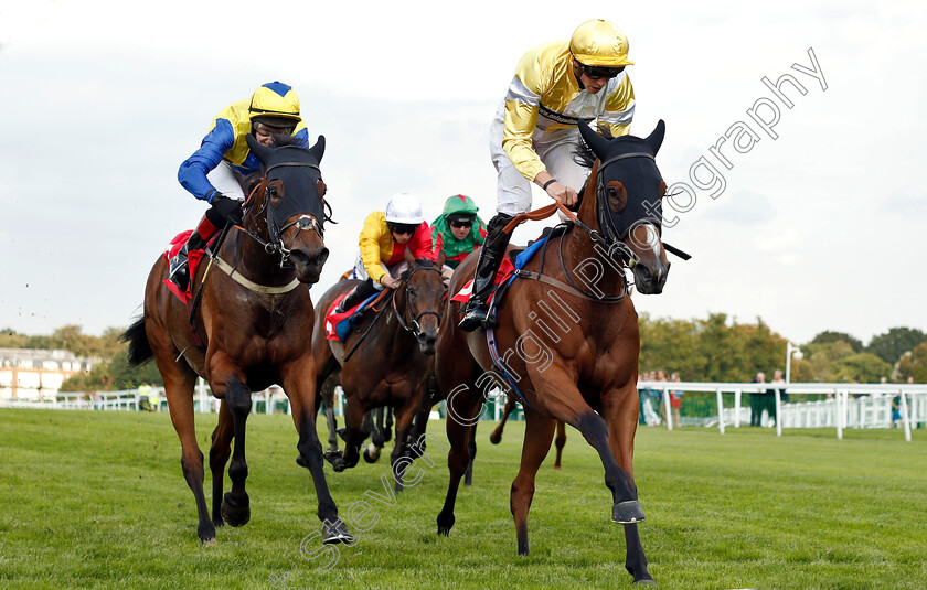 Arabian-Jazz-0003 
 ARABIAN JAZZ (right, James Doyle) beats NARJES (left) in The 188bet Extra Place Races Fillies Handicap
Sandown 31 Aug 2018 - Pic Steven Cargill / Racingfotos.com