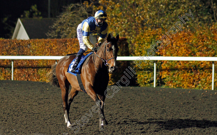 Chappaquiddick-0001 
 CHAPPAQUIDDICK (Daivd Probert)
Kempton 11 Nov 2020 - Pic Steven Cargill / Racingfotos.com