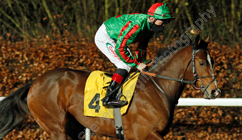 Got-No-Dollars-0001 
 GOT NO DOLLARS (Shane Kelly)
Kempton 13 Jan 2021 - Pic Steven Cargill / Racingfotos.com