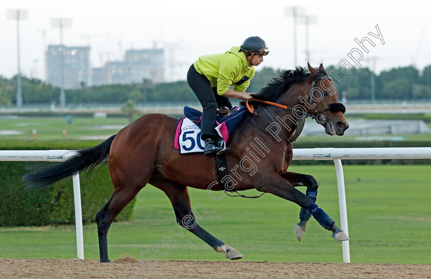 Russipant-Fal-0003 
 RUSSIPANT FAL training at the Dubai Racing Carnival 
Meydan 2 Jan 2025 - Pic Steven Cargill / Racingfotos.com