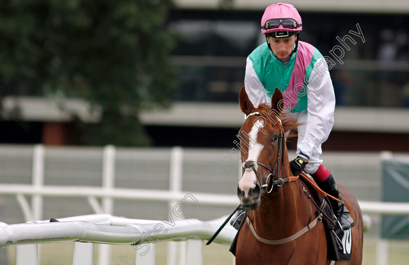 Siyata-0001 
 SIYATA (Oisin Murphy)
Newbury 13 Aug 2021 - Pic Steven Cargill / Racingfotos.com