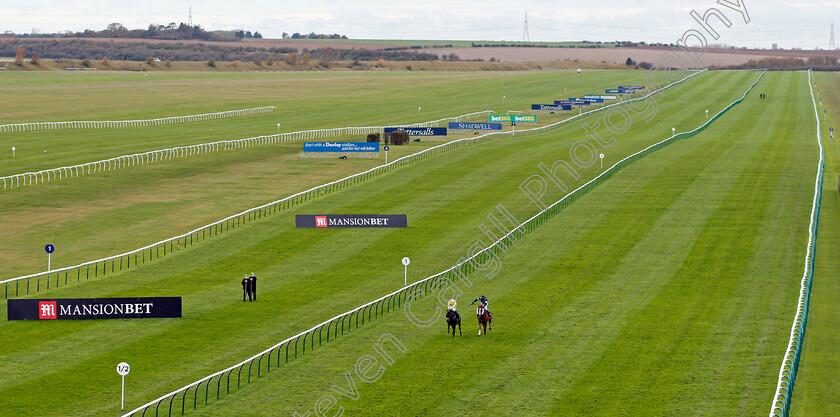 Solo-Saxophone-0003 
 SOLO SAXOPHONE (left, Ryan Moore) beats ALFREDO (right) in 2-runner The Mansionbet Watch And Bet Handicap
Newmarket 30 Oct 2020 - Pic Steven Cargill / Racingfotos.com